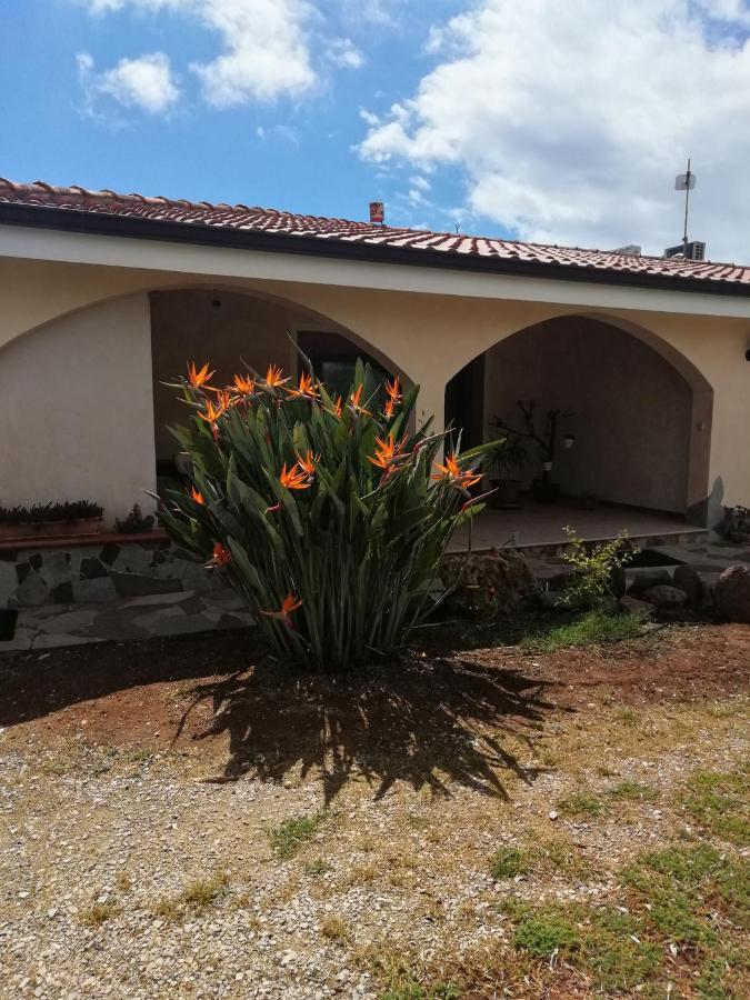 Da Patrizia Bed & Breakfast Алгеро Екстериор снимка